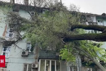 ​​​​​​​Страшная непогода: деревья падали, крыши летали