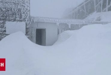 В Карпатах сыплет снег: дубарь по всей Украине