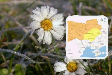 Украину скуют заморозки: температура упадет до -5° (карта)