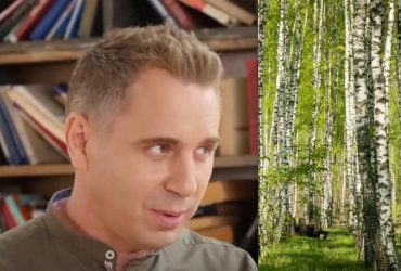 Що таке діброва і гай: Авраменко вказав на головні відмінності