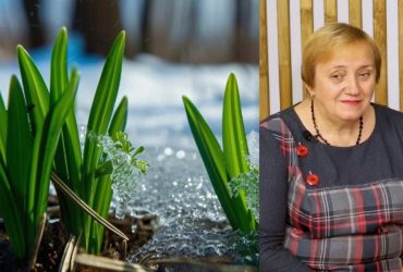 Сніжна крупа, мокрий сніг і заморозки: метеоролог попередила частину України про негоду