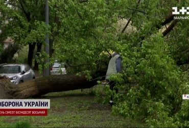 Сильный ветер наделал беды в Киеве