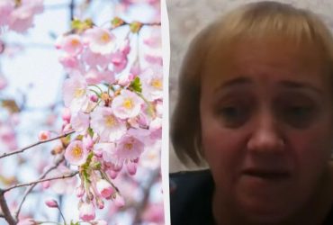 Палкий квітень: в НАН України пояснили, з чим пов'язана аномалія