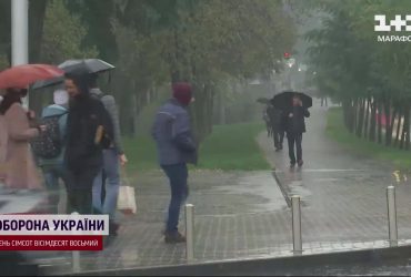 Непогода в Киеве повалила деревья, затопила улицы. А шесть регионов оставила без света