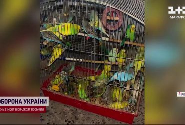 В Ровно горел рынок. Пожарные спасли пушистиков с горящего базара