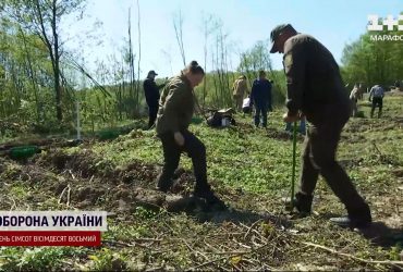 Леса защитников и защитниц. На Львовщине высадили деревья в память о погибших военных