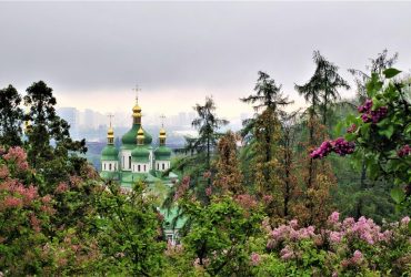 Раніше за норму: в київському ботсаду вже сезон цвітіння бузку і азалій (фоторепортаж, відео)