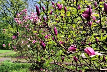 Сьогодні Київ розігріє до +17°: прогноз на 14 квітня