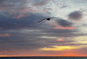 Полярники показали закат солнца над Атлантическим океаном: впечатляющие фото