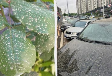 В Одесской области выпал грязный дождь с пылью из Сахары: несет ли он опасность