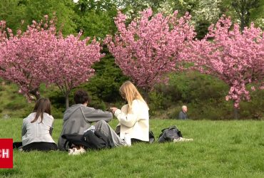 В Украине начинает теплеть: Отступят и дожди