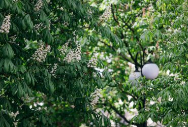 Завтра погода в Украине будет переменчивой: чего ждать (карта)