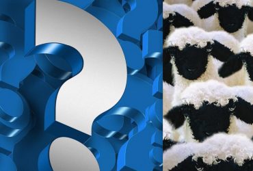 Фантастическая оптическая иллюзия: надо менее чем за 10 секунд найти собаку среди овец