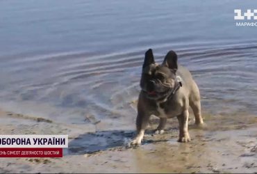 Летнее тепло и Пасха с дождями: проноз погоды