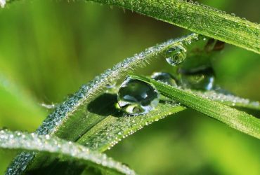 27 июня в Украине станет жарче, в нескольких областях - дожди (карта)