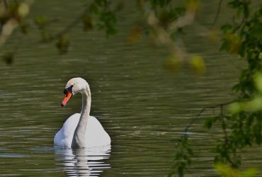 Тиждень в Україні почнеться з похолодання: де впаде температура (карта)