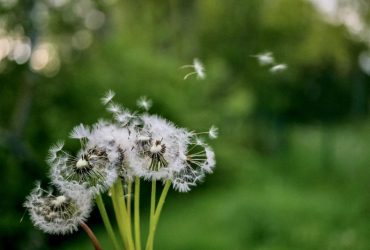 Синоптик удивил прогнозом на май: какой погоды ждать украинцам