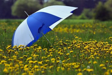 Синоптики назвали точные даты, когда в Киеве будут дожди (инфографика)