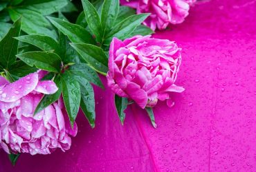 На выходных в Украине станет еще теплее, но придут дожди и грозы (карта)