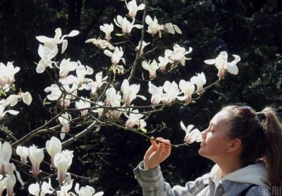 14 апреля в Украине потеплеет до +16° и больше