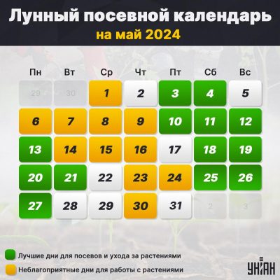 Когда сажать рассаду перцев и помидоров по лунному календарю 2018 года