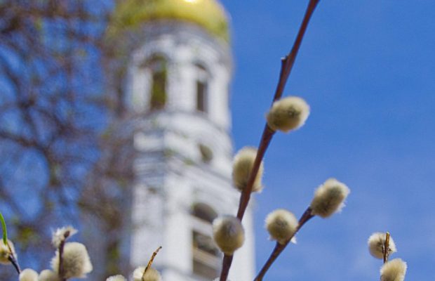 Лазарева субота 2024: що це за свято, що можна їсти і не можна робити