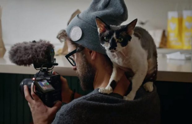 "Мы, наши любимцы и война": каким получился документальный фильм Антона Птушкина