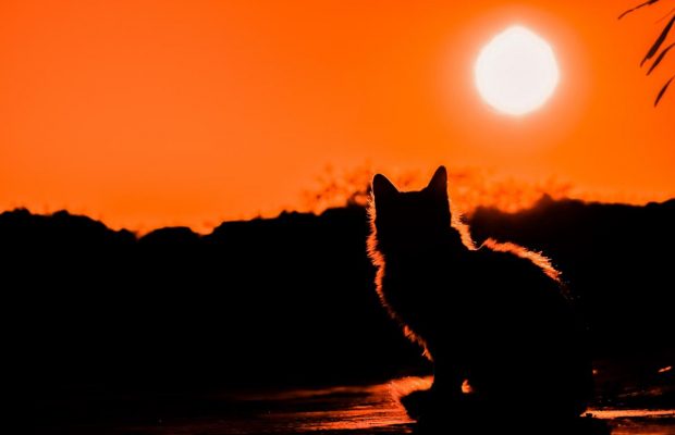 Молодик 8 квітня 2024 і повне сонячне затемнення: точний час і чого остерігатися