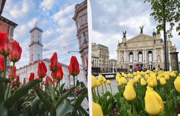 У Львові створили карту з квітковими локаціями: де можна помилуватися красою