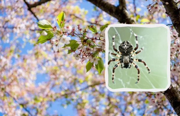 Яке свято 17 квітня: що можна і не можна робити, прикмети, пам'ятні події в історії