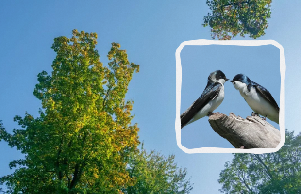 Яке свято 18 квітня: що можна і не можна робити, прикмети, пам'ятні події в історії