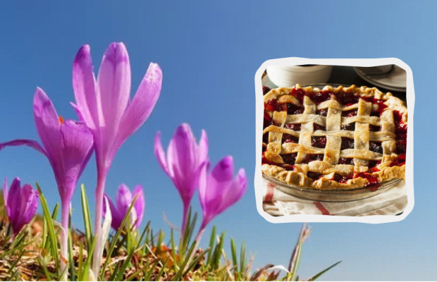 Яке свято 21 квітня: пам'ятні події в історії, прикмети та заборони дня