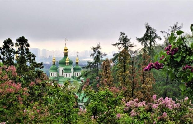 Раніше за норму: в київському ботсаду вже сезон цвітіння бузку і азалій (фоторепортаж, відео)