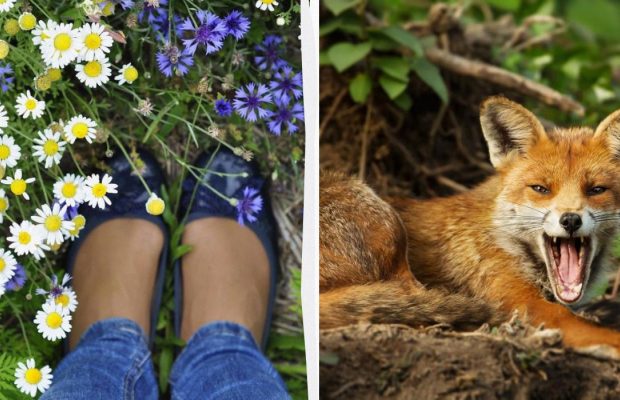 Народне свято 27 квітня: 5 речей, які не можна робити сьогодні