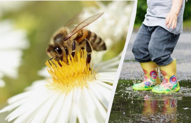 Народне свято 28 квітня: для кого цей день нещасливий