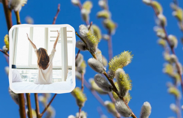 Яке свято 28 квітня: важливі події в історії, прикмети та заборони дня