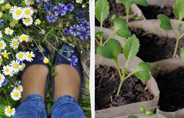 Народне свято 29 квітня: для яких справ вдалий цей день