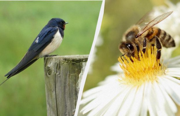 Народне свято 30 квітня: що потрібно зробити для гарного самопочуття