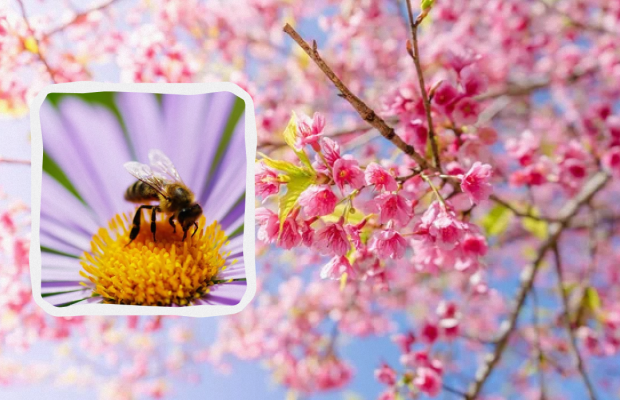 Яке свято 30 квітня: пам'ятні події в історії, прикмети та заборони дня