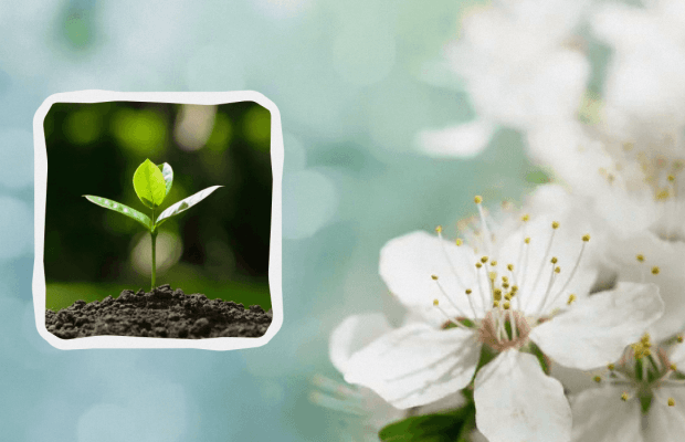 Яке свято 1 травня: пам'ятні події в історії, прикмети та заборони дня