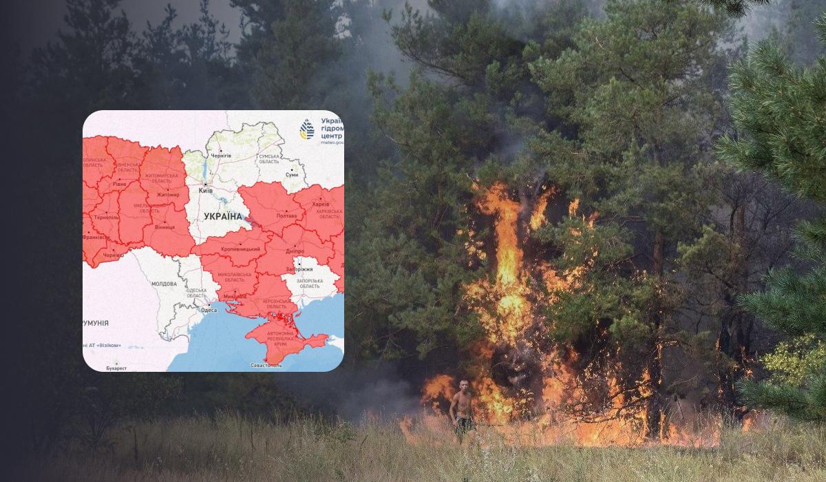 В Україні висока небезпека виникнення лісових пожеж / колаж УНІАН, фото УНІАН, Укргідрометцентр