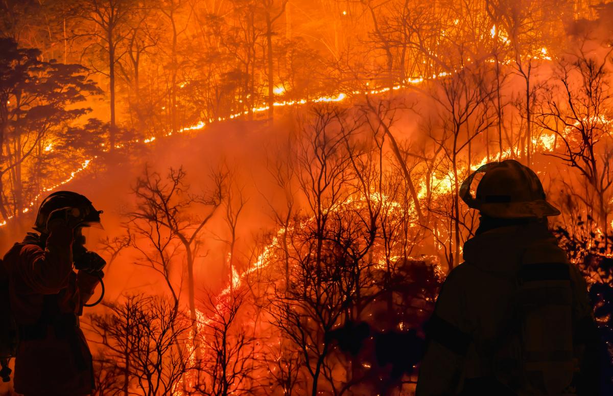 Лесные пожары становятся более опасными на юге Европы из-за изменения климата / фото ua.depositphotos.com