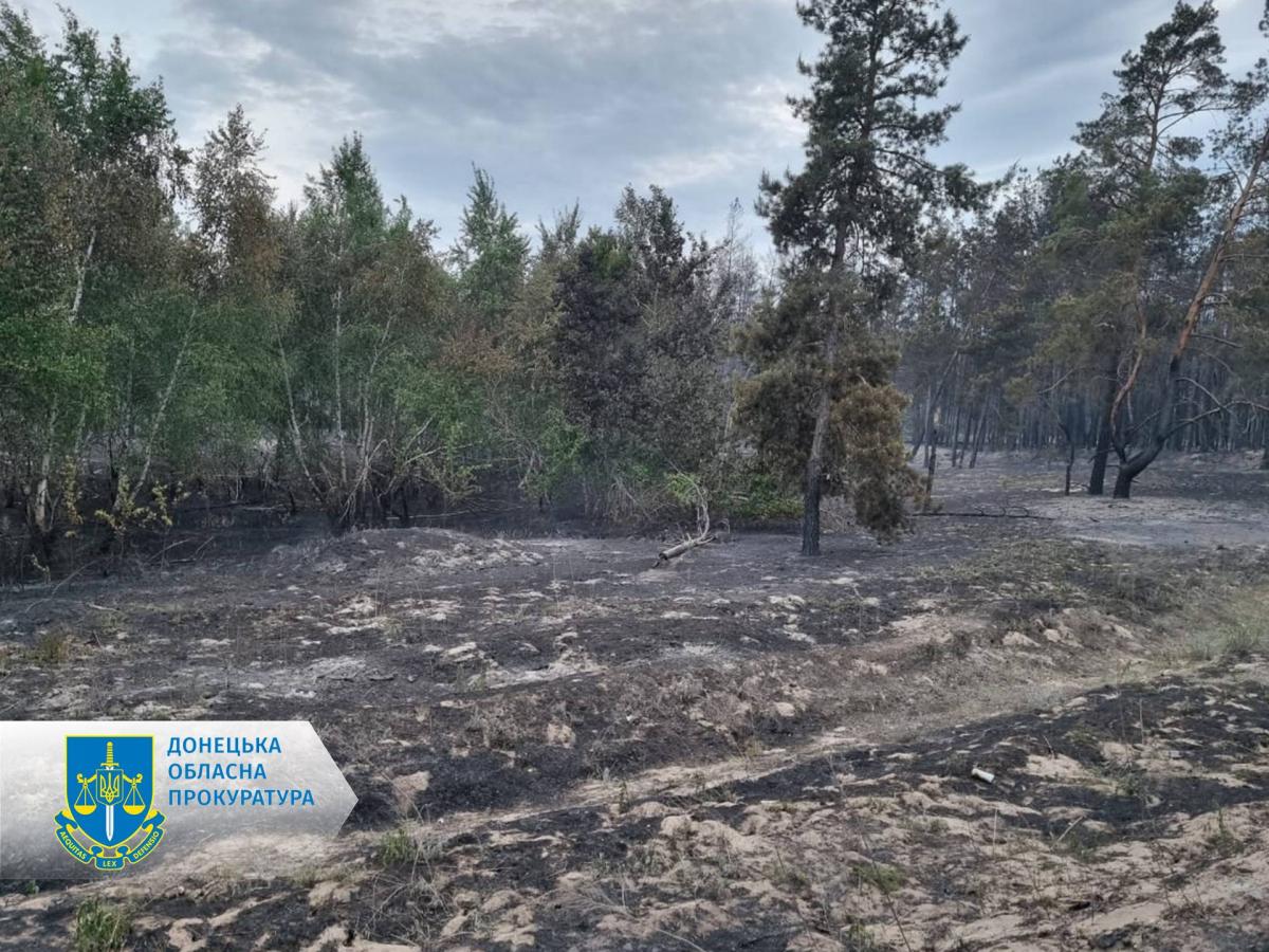 У мережі показали масштабну пожежу в околицях Лиману: з'явилося пояснення (фото, відео) У мережі показали масштабну пожежу в околицях Лиману: з'явилося пояснення (фото, відео)