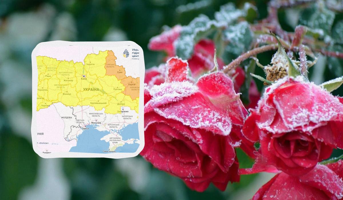Две ночи подряд в Украине будут заморозки / фото Frauke Riether / Pixabay Две ночи подряд в Украине будут заморозки / фото Frauke Riether / Pixabay