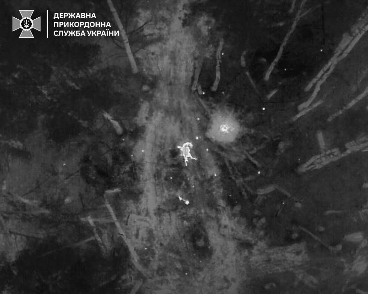 На міні підірвався дикий кінь породи Пржевальського / фото ДСНС На міні підірвався дикий кінь породи Пржевальського / фото ДСНС