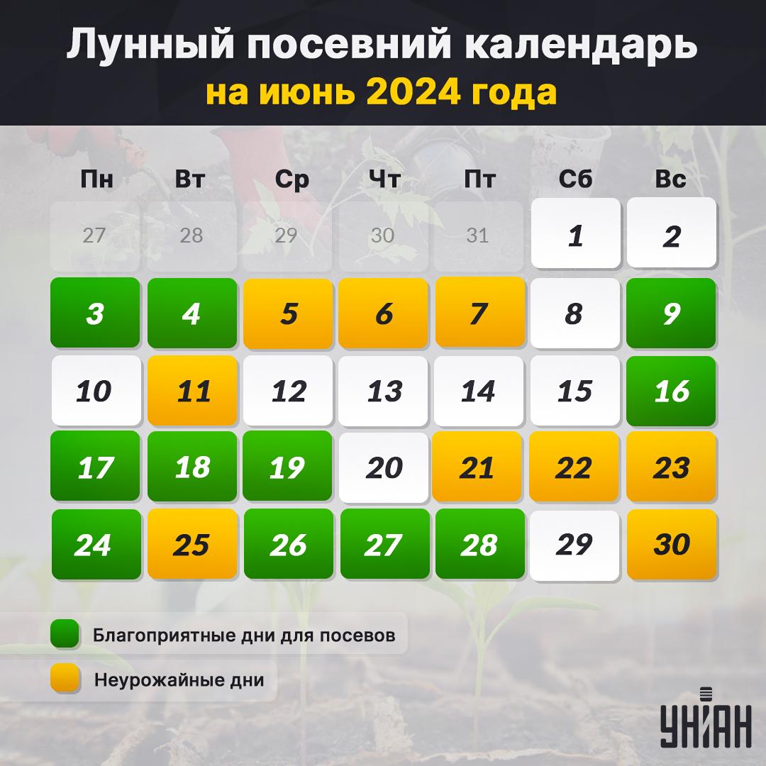 Лунный посевной календарь на июнь 2024 таблица / картинка УНИАН Лунный посевной календарь на июнь 2024 таблица / картинка УНИАН