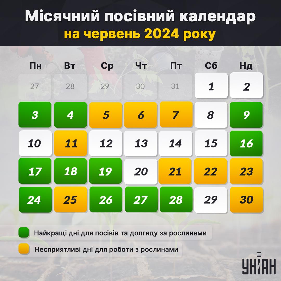 Місячний посівний календар на червень 2024 таблиця / картинка УНІАН Місячний посівний календар на червень 2024 таблиця / картинка УНІАН