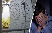 Пара установила камеру из-за царапанья в новом доме: "соседи" вылезли из-под потолка