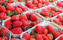 Жесткая конкуренция на украинском рынке резко обвалила цены на популярную ягоду