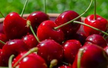 В Україні на три тижні раніше розпочався сезон черешні: які ціни на ягоду